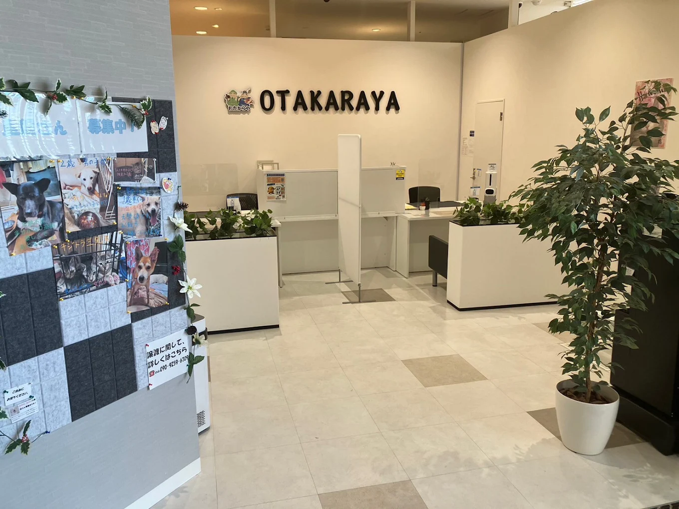 おたからや イオンモール和歌山店　レビュー　口コミ