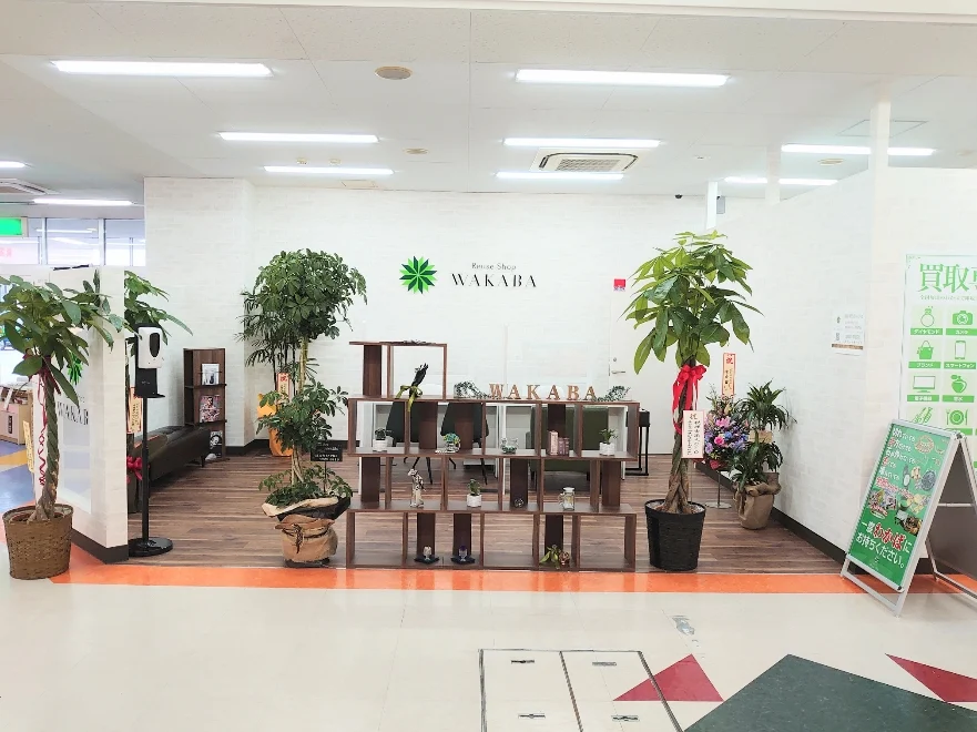 買取店わかば　富山ショッピングタウン北の森店　レビュー　口コミ